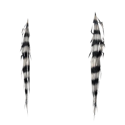 ҂,__,x platt blonde racoon tail extensions 