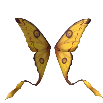 Comet Moth Wings