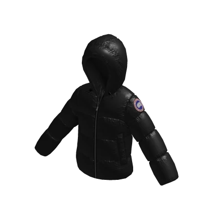 Canadian Goose Puffer