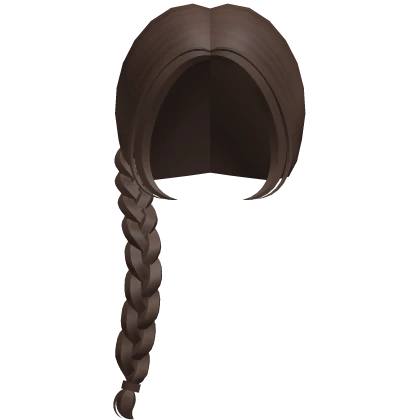 ♡ kawaii braids in brown