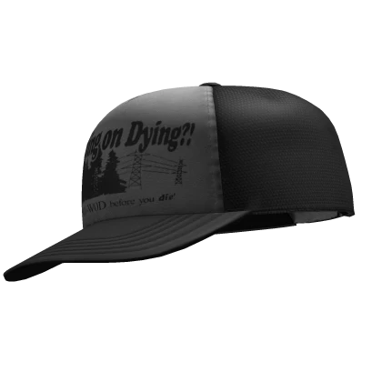 working on dying?! TRUCKER CAP sideswept 