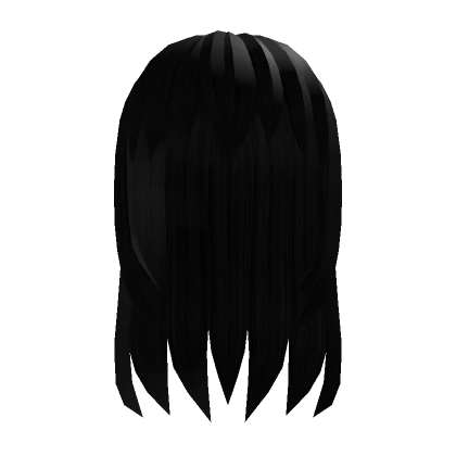 Black Long Hair