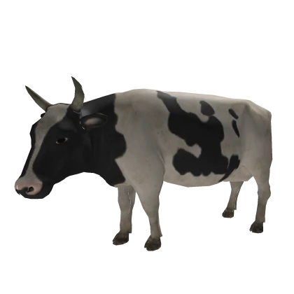 Big Cow 🐮 Cute Animal Walking In Back