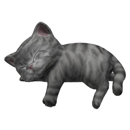 Cute Sleeping Cat Kitten - Grey Tabby [1.0]