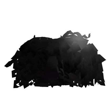 Black Fluffy Curly Fro