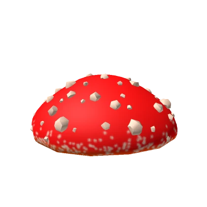 Amanita Muscaria Mushroom