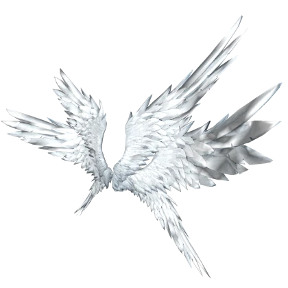 Angel Wings