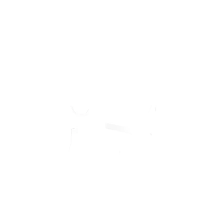 White Transparent Valkyrie