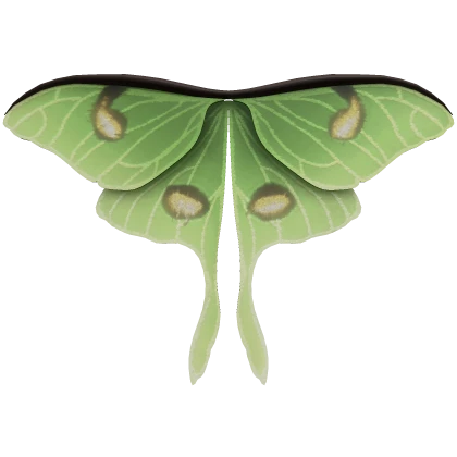 Green Luna Moth Fairy Butterfly Cosplay Wings