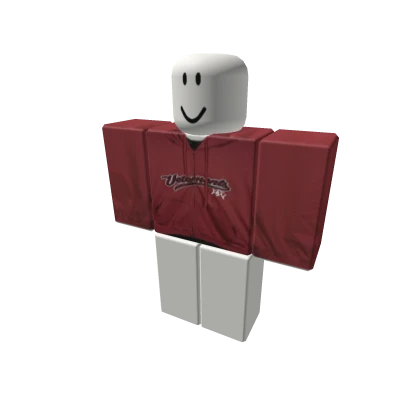 vetement zip