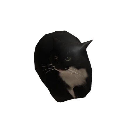Mini Maxwell Cat