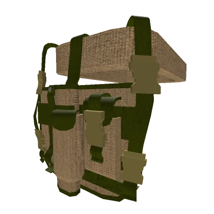 Military Holster