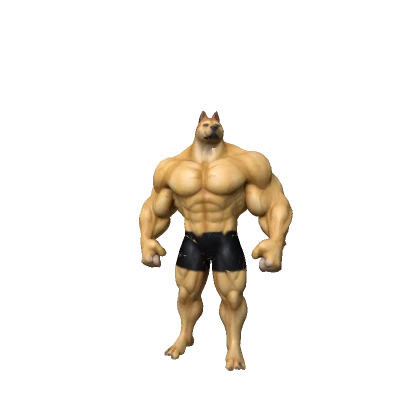 Sigma Muscle Doge 🐶