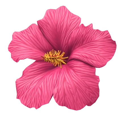 Left Summer Tropical Hibiscus Flower (Pink)