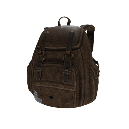 Survival backpack- The last