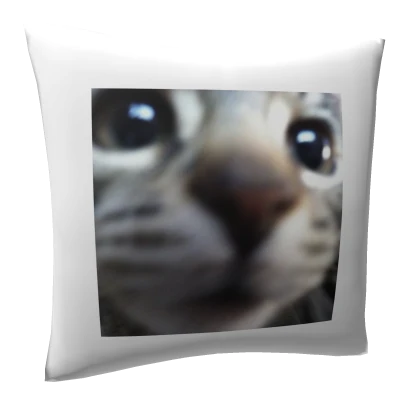 CODE: KTN | Pillow With Cute Cat