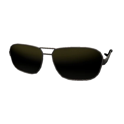 Aviator polarized sunglasses