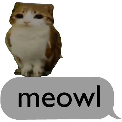 Meowl Meme Globo De Texto