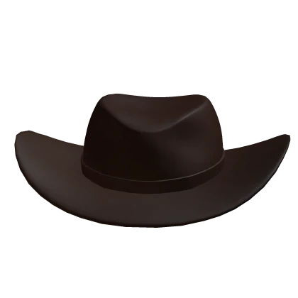✅ Cowboy Hat