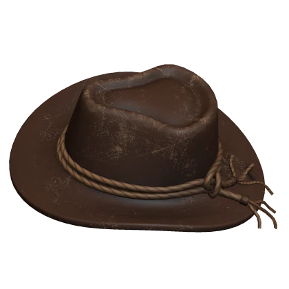 Brown Cowboy Hat