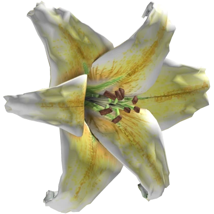 Massive Harajuku Gyaru Tropical Hair Flower