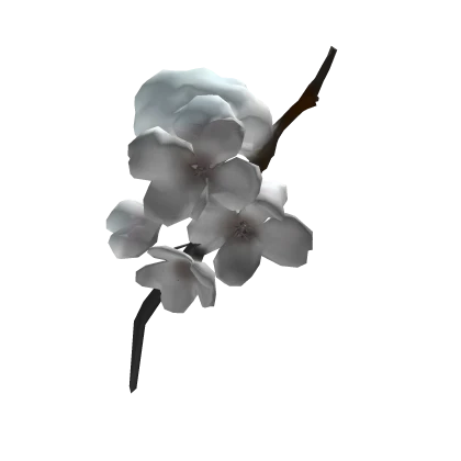 さくら snowy sakura branch in your hair 樱花