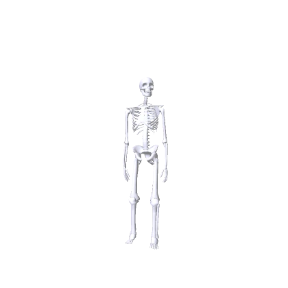 Skeleton (Recolorable)