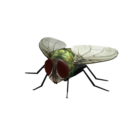 Mini Flying Fly