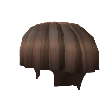 Brown K -Bowl Cut  Hair