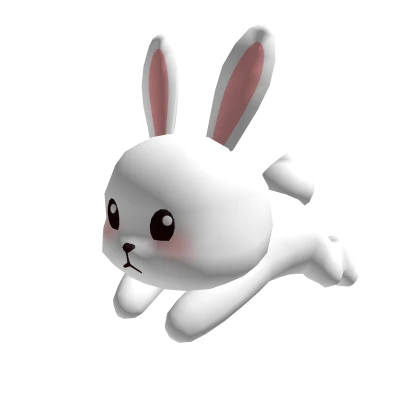 White Cute Rabbit Hat