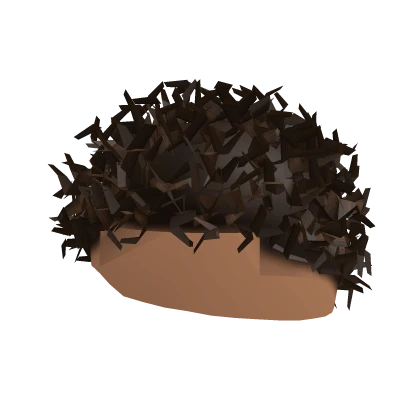 Short Curly Brown Hair 
