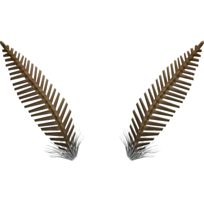 Moth Antennae - Brown