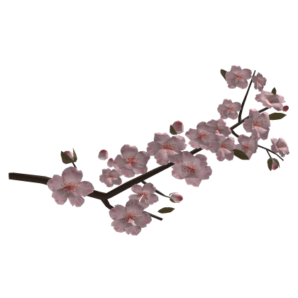 かわいい blossom covered face; Whisper of Spring