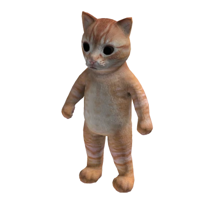 Mr Cat 