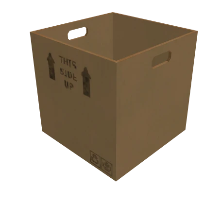 Cardboard Box