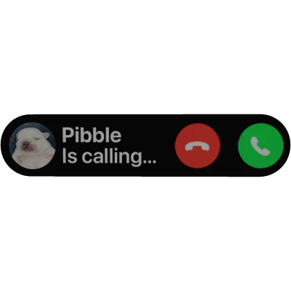 Pibble is calling