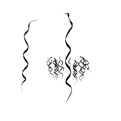 𝓢 | Black Curls Extension