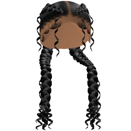 Double Curly Braids in Black