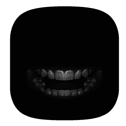 Teeth