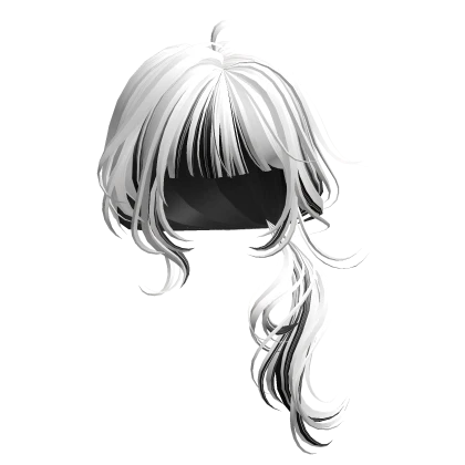 White&Black Low Ponytail