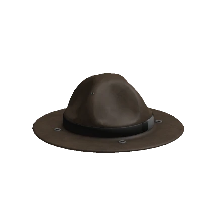 Park Ranger Hat