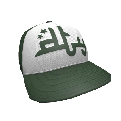 Divide The Youth - Green DTY Trucker Cap