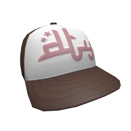 Divide The Youth - Brown/Pink Trucker Cap