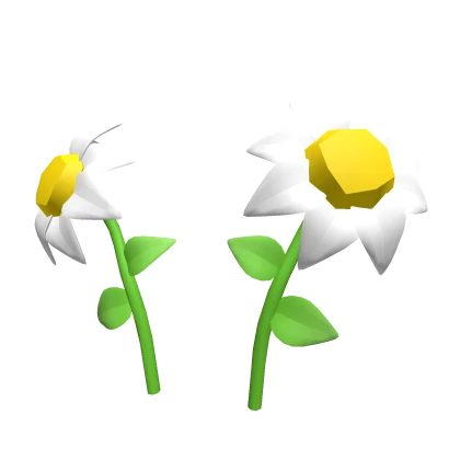 White Flowers