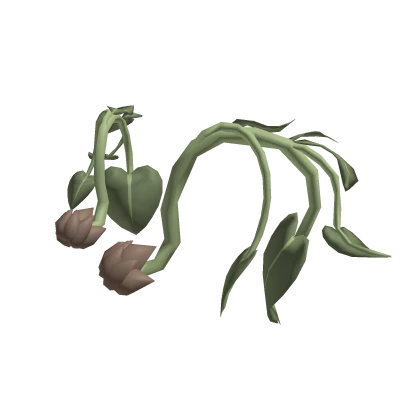 Heartleaf Vines