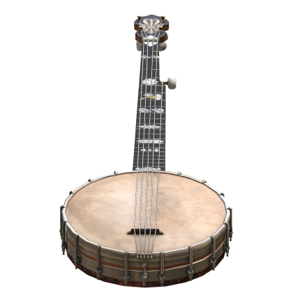 Fancy banjo