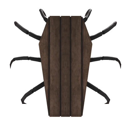 Spider Coffin