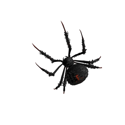 Cute Spider 🕷️ Animal Walking On Your Face