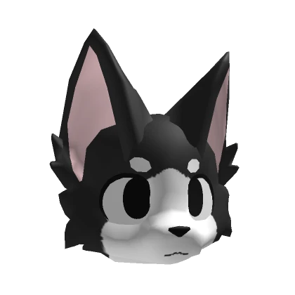 Black Kemono Cat