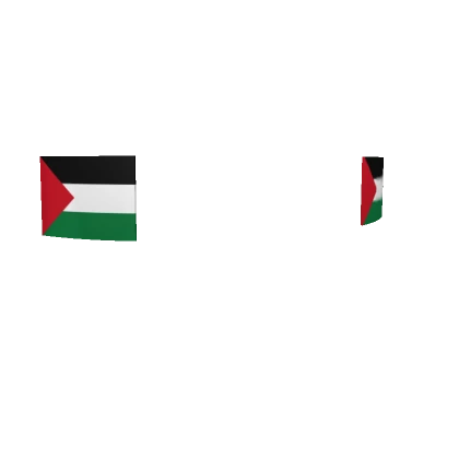 Palestine Face Sticker